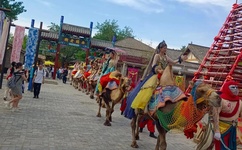 午夜精品成人一区二区视频